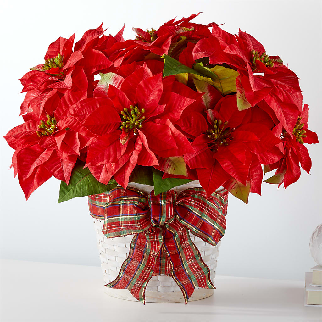 Happiest Holidays Poinsettia – GERLACHS GARDEN & FLORAL, Erie PA