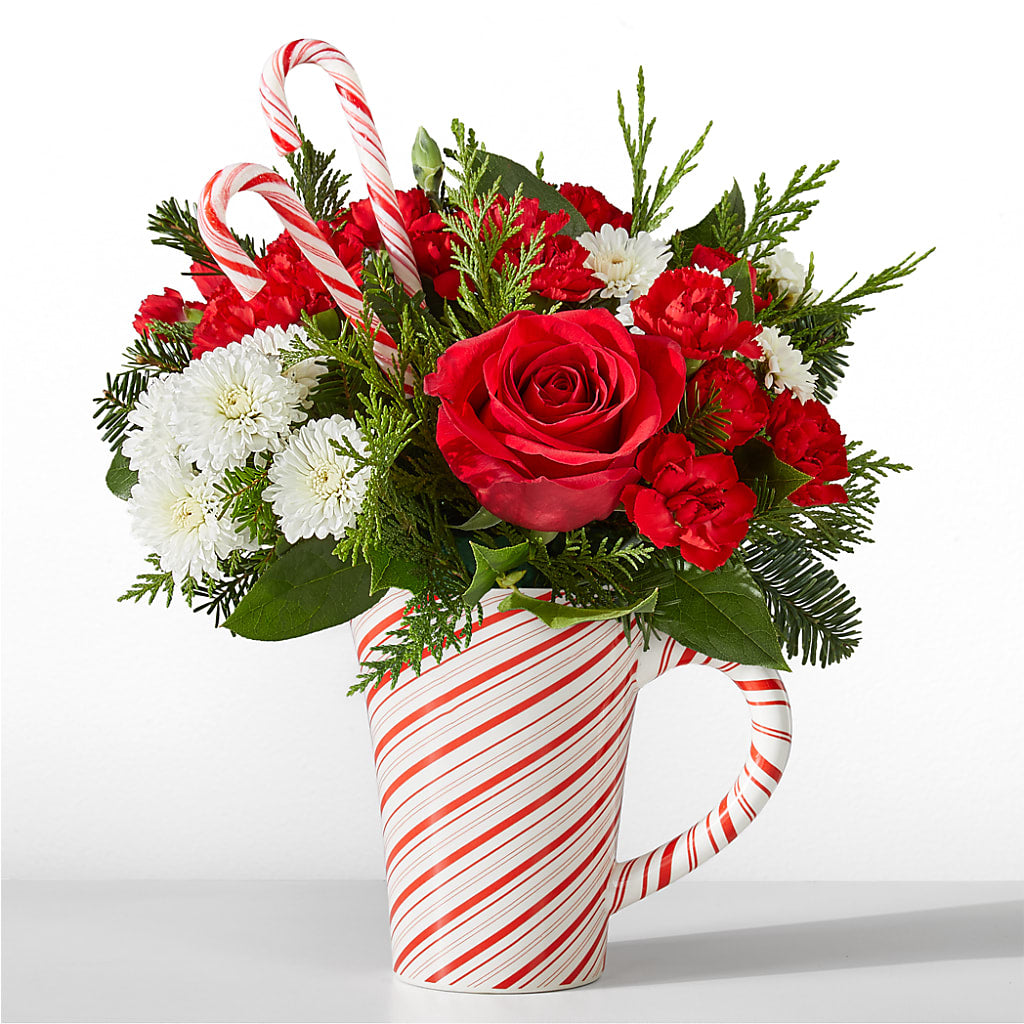Peppermint Swirl Mug – GERLACHS GARDEN & FLORAL, Erie PA