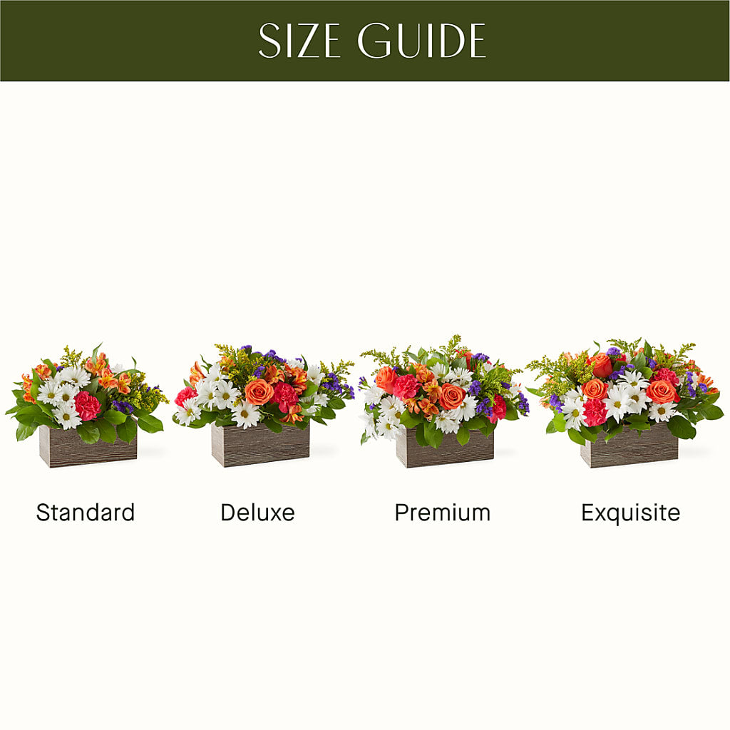 Oopsie Daisy Box Bouquet – GERLACHS GARDEN & FLORAL, Erie PA