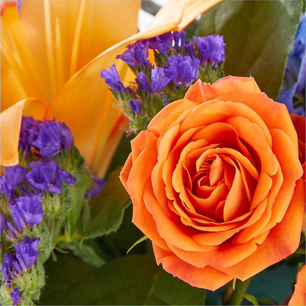 Radiant Citrus Box Bouquet – GERLACHS GARDEN & FLORAL, Erie PA