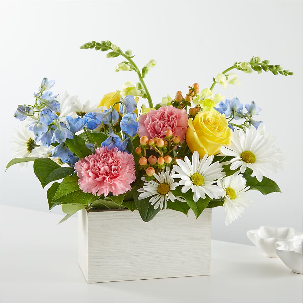Sun Salutation Box Bouquet – GERLACHS GARDEN & FLORAL, Erie PA