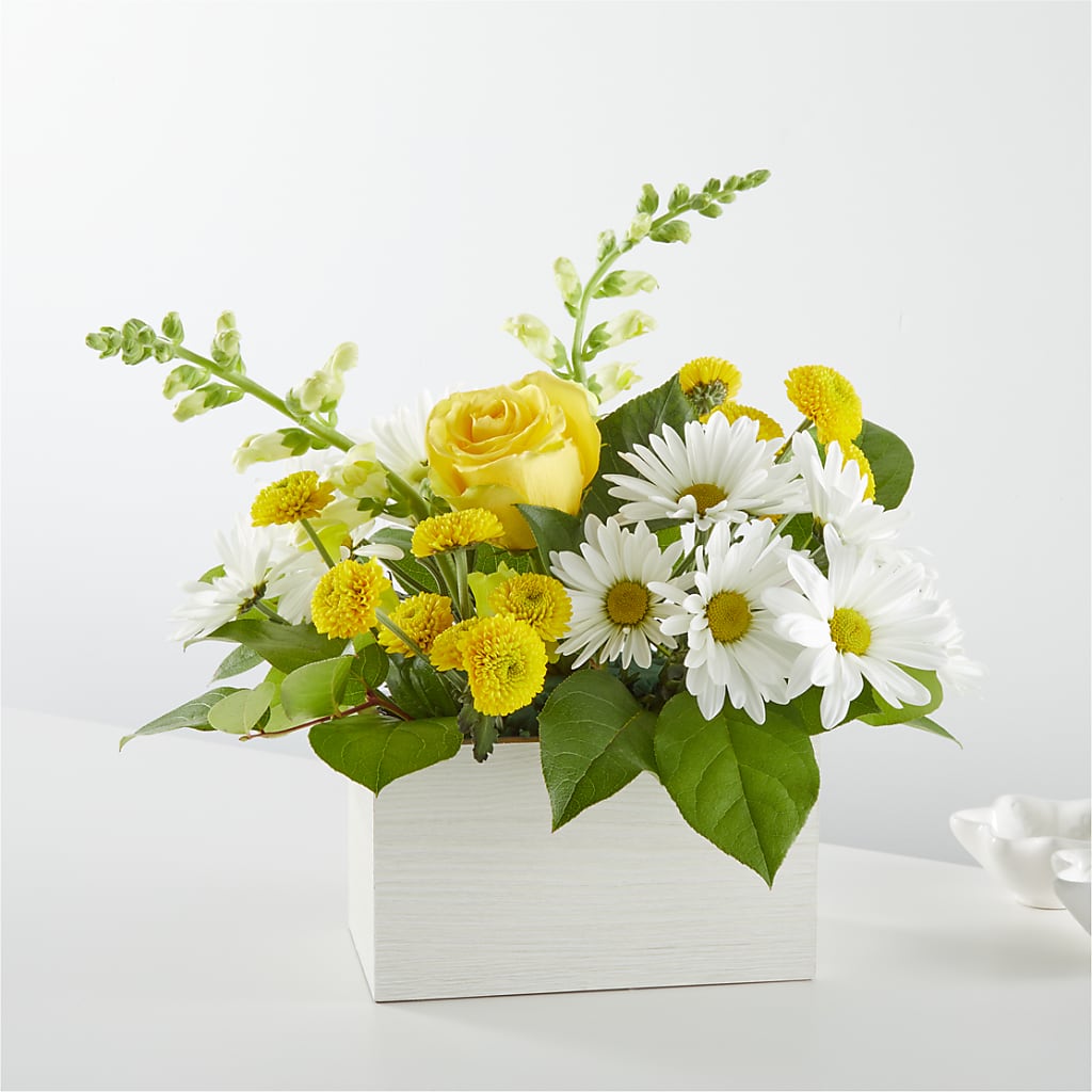 Sun Salutation Box Bouquet – GERLACHS GARDEN & FLORAL, Erie PA
