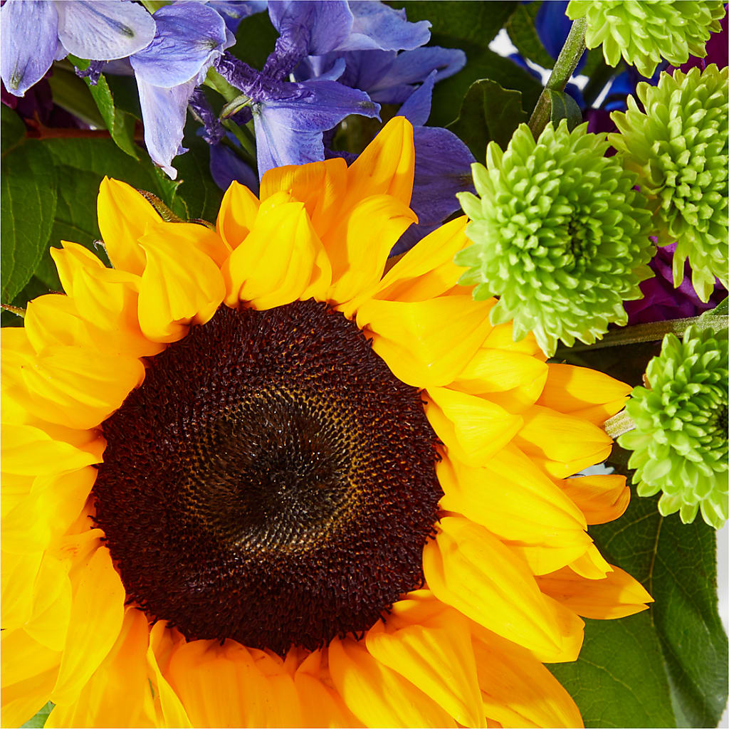 Catching Rays Bouquet – GERLACHS GARDEN & FLORAL, Erie PA