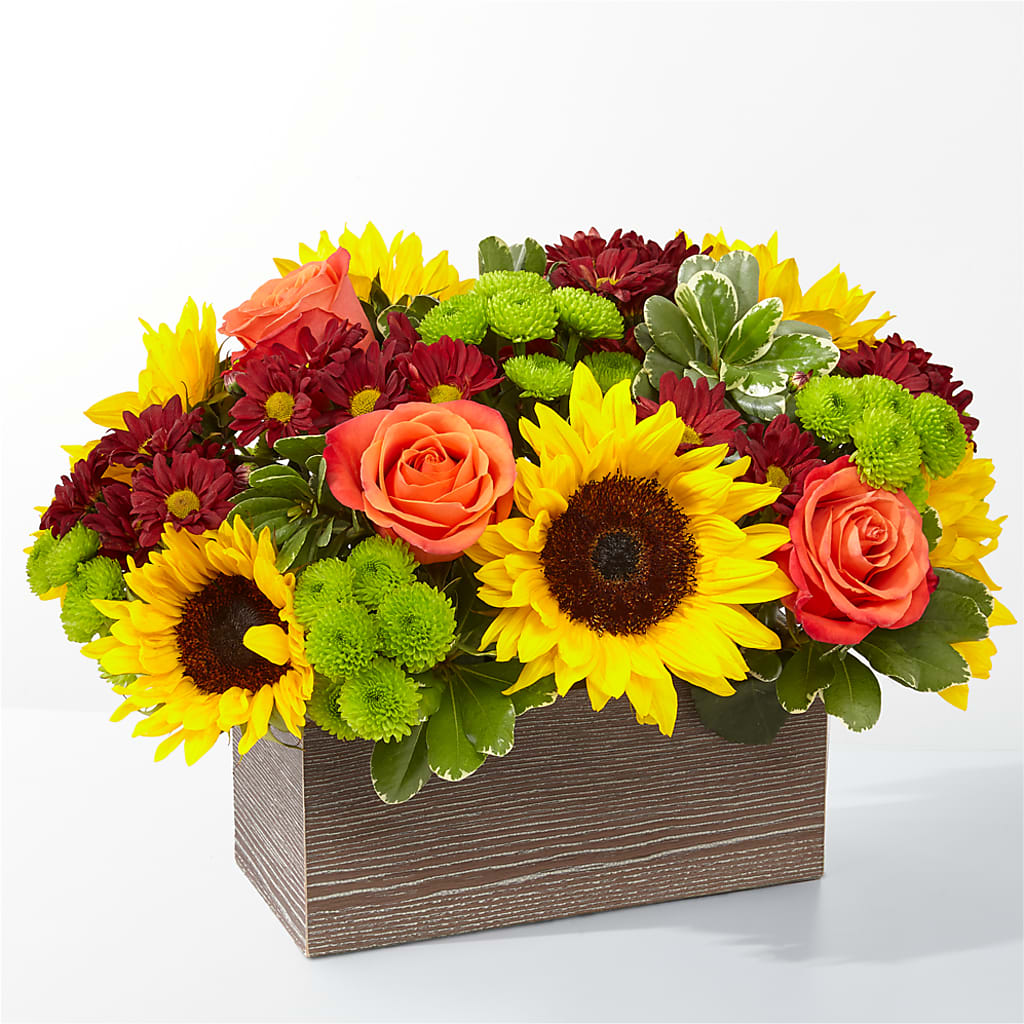 Happy Harvest Garden – GERLACHS GARDEN & FLORAL, Erie PA