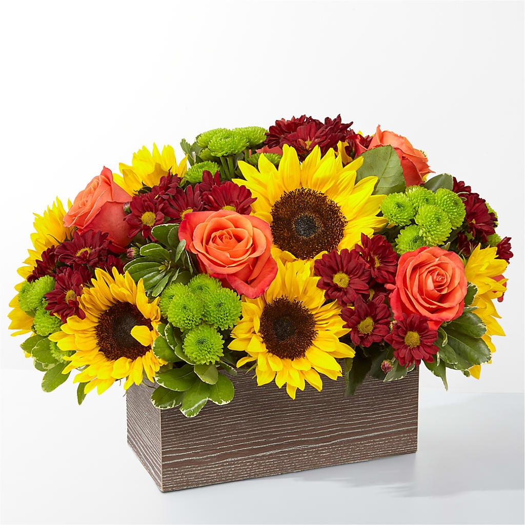 Happy Harvest Garden – GERLACHS GARDEN & FLORAL, Erie PA