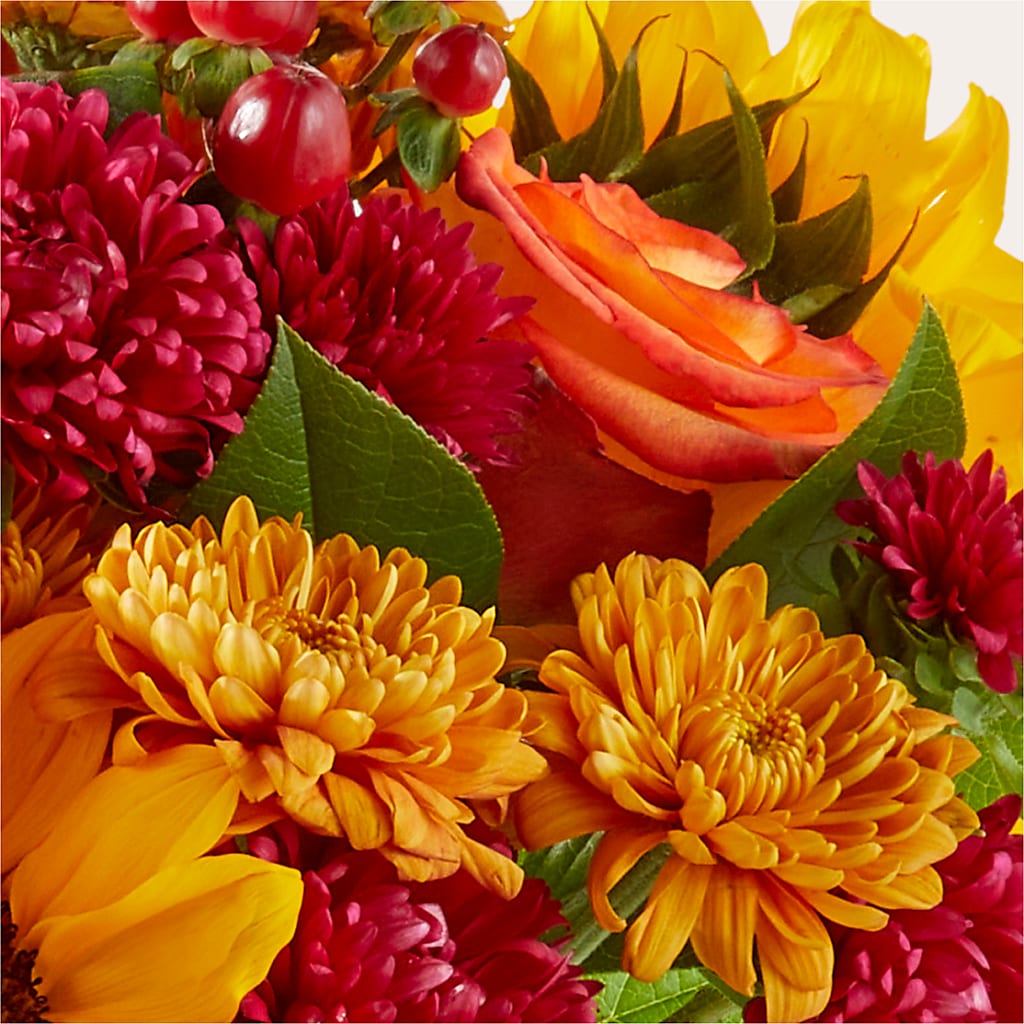 Sweater Season - A Florist Original – GERLACHS GARDEN & FLORAL, Erie PA