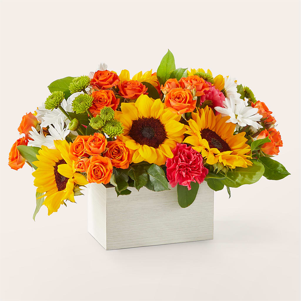 Sun-drenched Blooms Box Bouquet – GERLACHS GARDEN & FLORAL, Erie PA