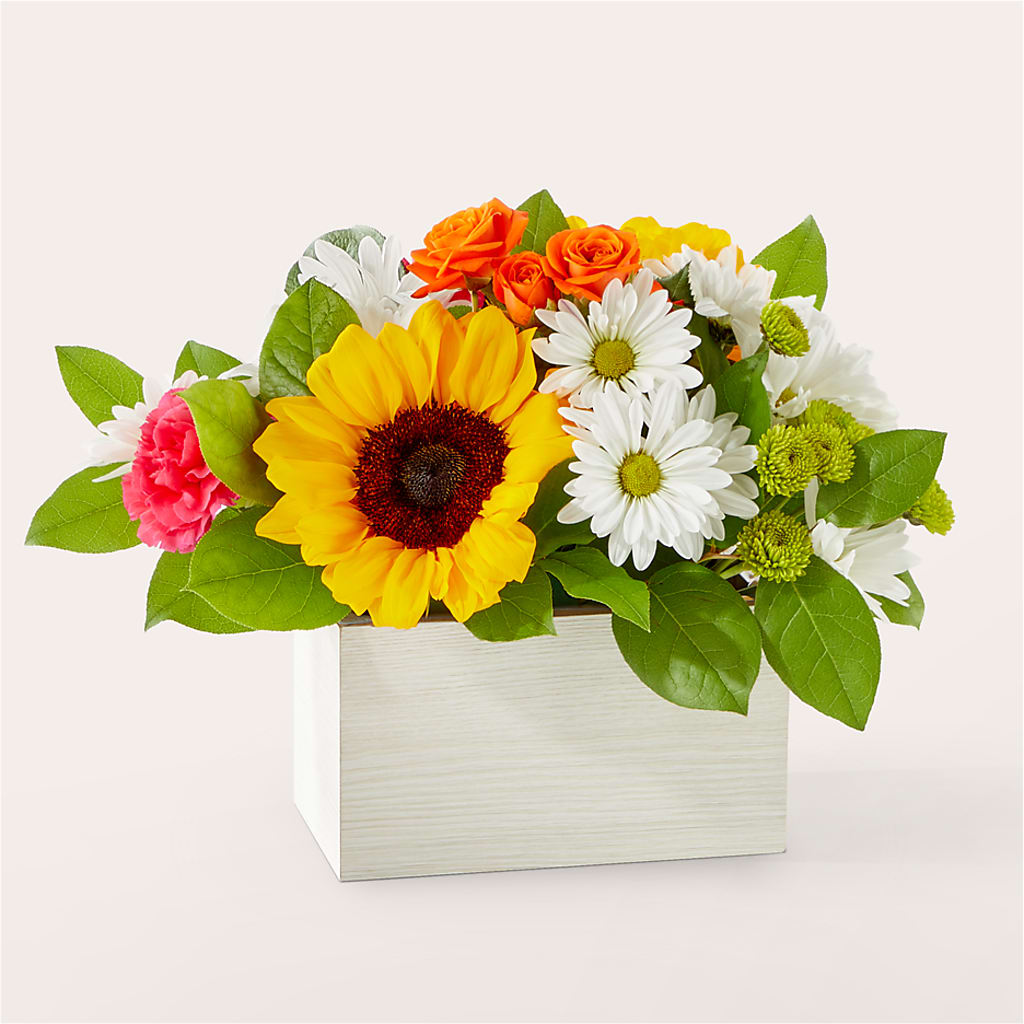 Sun-drenched Blooms Box Bouquet – GERLACHS GARDEN & FLORAL, Erie PA