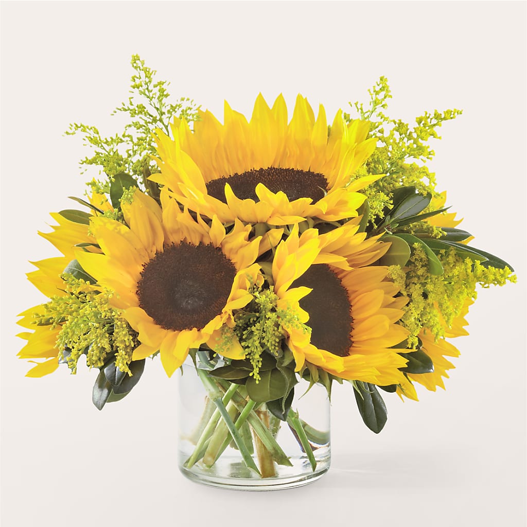 Beaming Sunflower Bouquet – GERLACHS GARDEN & FLORAL, Erie PA