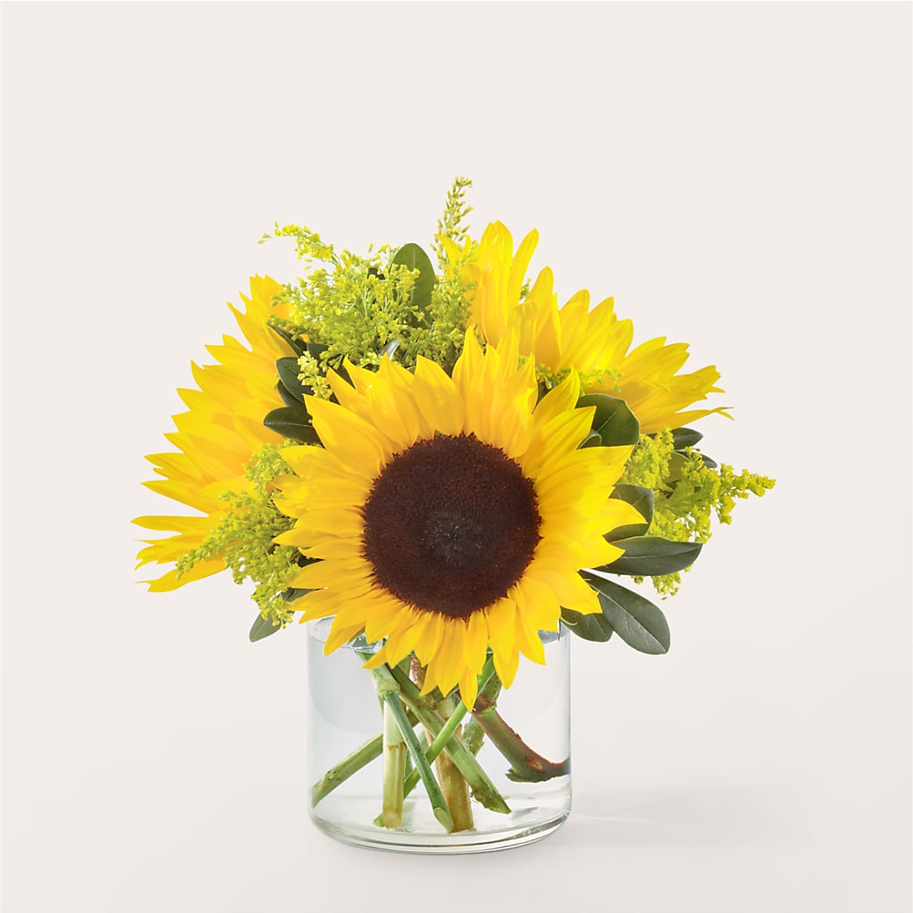 Beaming Sunflower Bouquet – GERLACHS GARDEN & FLORAL, Erie PA