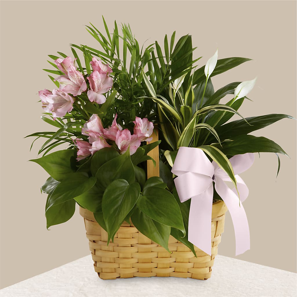 Living Spirit Dishgarden – GERLACHS GARDEN & FLORAL, Erie PA