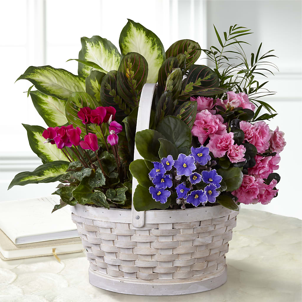 Peaceful Garden Planter – GERLACHS GARDEN & FLORAL, Erie PA