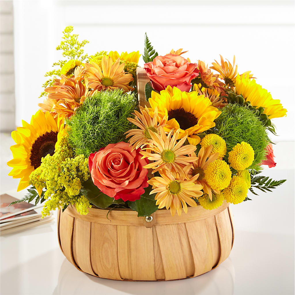 Harvest Sunflower Basket – GERLACHS GARDEN & FLORAL, Erie PA