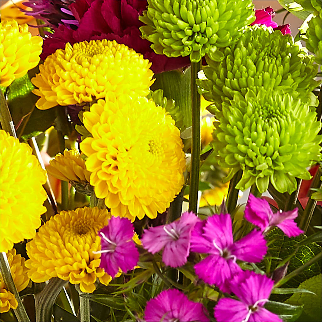 Bold & Bright – A Florist Original – GERLACHS GARDEN & FLORAL, Erie PA