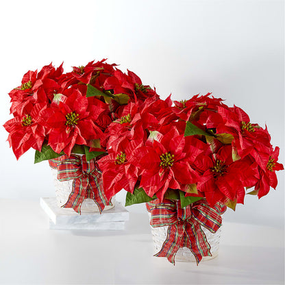 Happiest Holidays Poinsettia Bundle – GERLACHS GARDEN & FLORAL, Erie PA