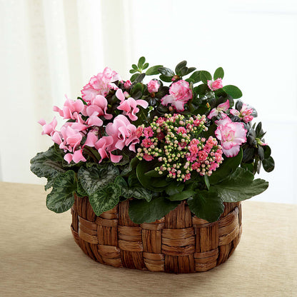 Pink Assortment – GERLACHS GARDEN & FLORAL, Erie PA