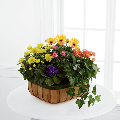 Gentle Blossoms Basket – GERLACHS GARDEN & FLORAL, Erie PA