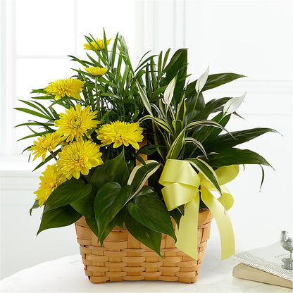 Loving Light Dishgarden – GERLACHS GARDEN & FLORAL, Erie PA