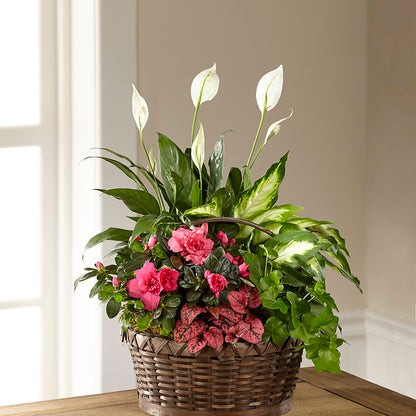 Dream in Pink Dishgarden – GERLACHS GARDEN & FLORAL, Erie PA