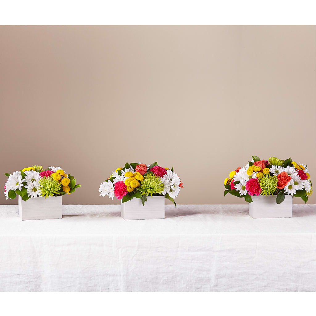 Sorbet Bouquet – GERLACHS GARDEN & FLORAL, Erie PA