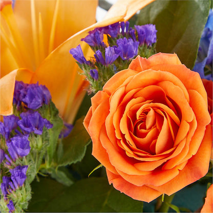 Radiant Citrus Box Bouquet – GERLACHS GARDEN & FLORAL, Erie PA