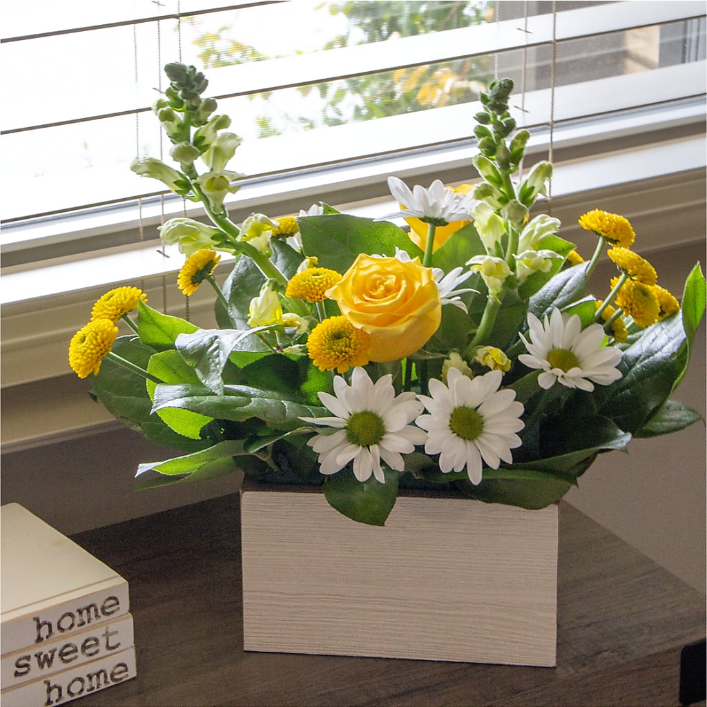 Sun Salutation Box Bouquet – GERLACHS GARDEN & FLORAL, Erie PA