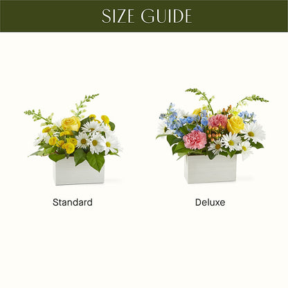 Sun Salutation Box Bouquet – GERLACHS GARDEN & FLORAL, Erie PA