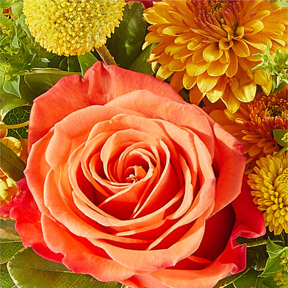 Gourdgeous Pumpkin – GERLACHS GARDEN & FLORAL, Erie PA