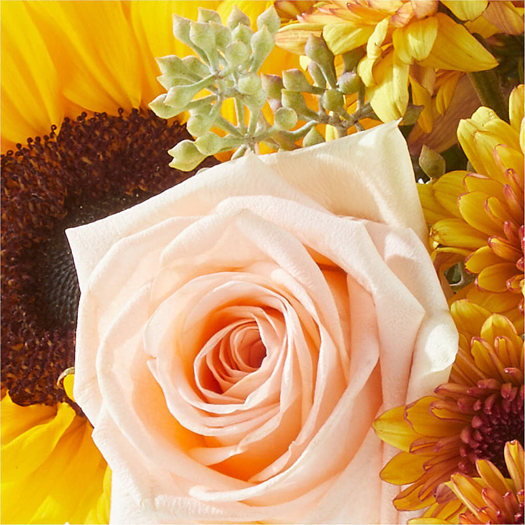 Pumpkin to Talk About Bouquet – GERLACHS GARDEN & FLORAL, Erie PA