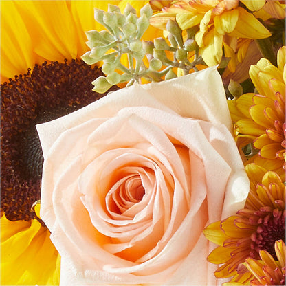 Pumpkin to Talk About Bouquet – GERLACHS GARDEN & FLORAL, Erie PA