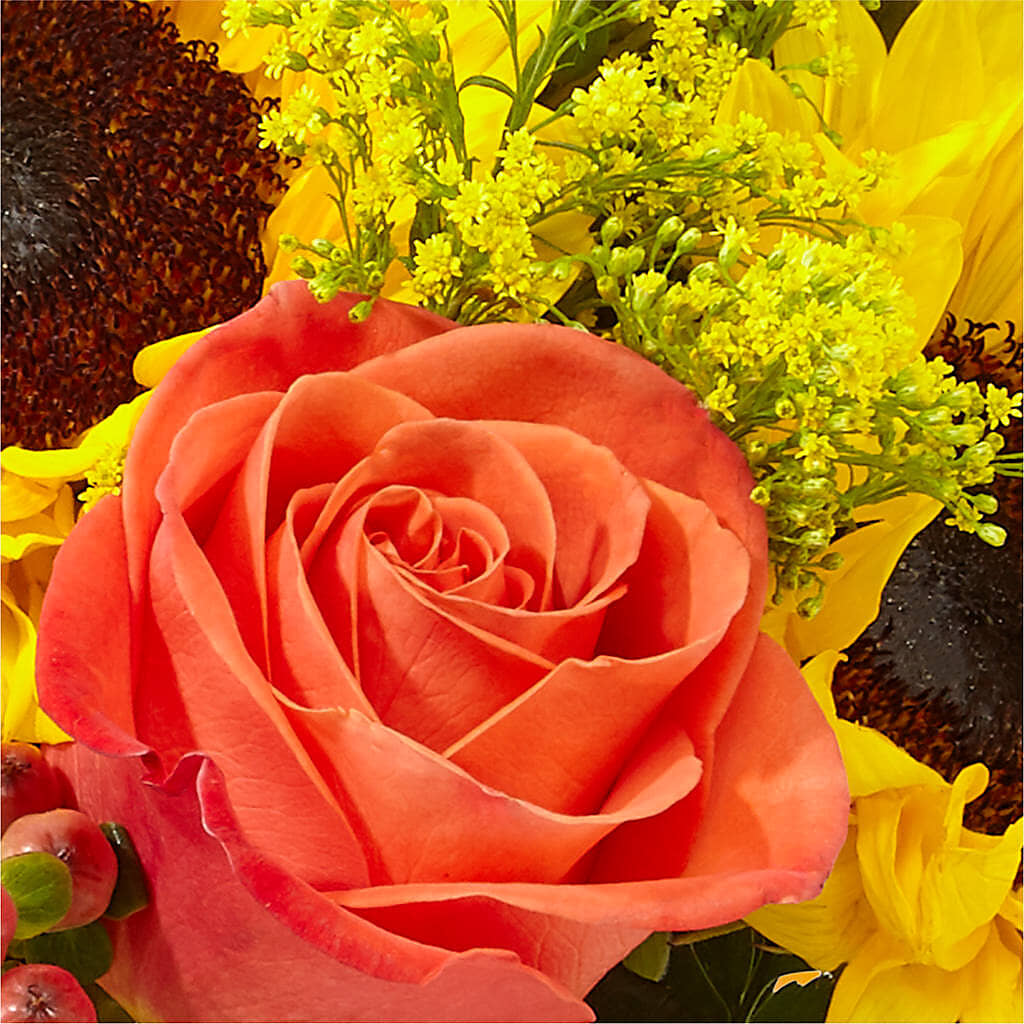 Pick of the Patch Pumpkin Bouquet – GERLACHS GARDEN & FLORAL, Erie PA