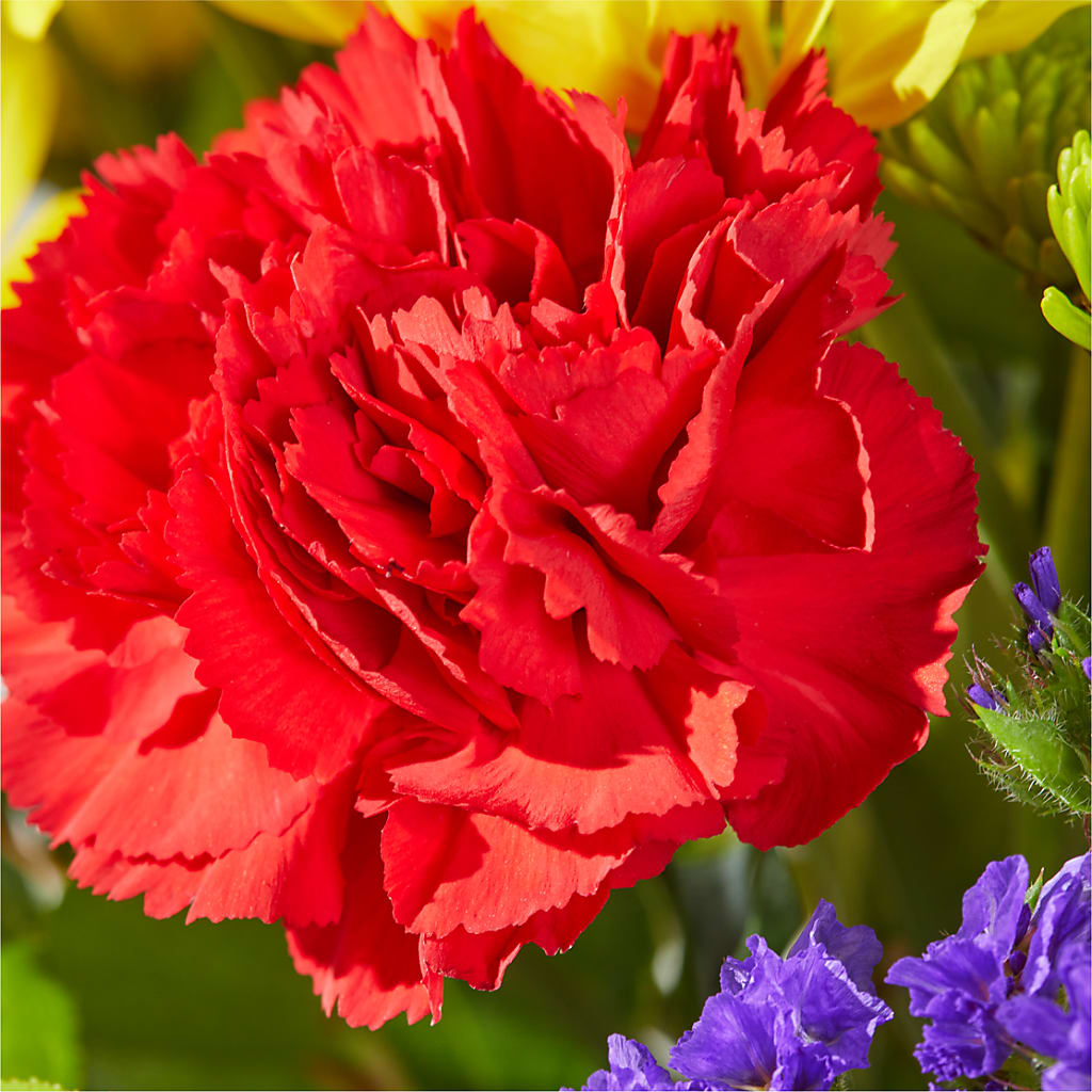 Brighter Days Bouquet – GERLACHS GARDEN & FLORAL, Erie PA