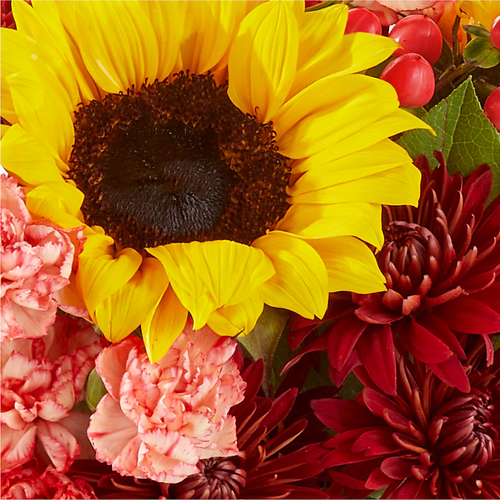 Fresh Cider Bouquet – GERLACHS GARDEN & FLORAL, Erie PA