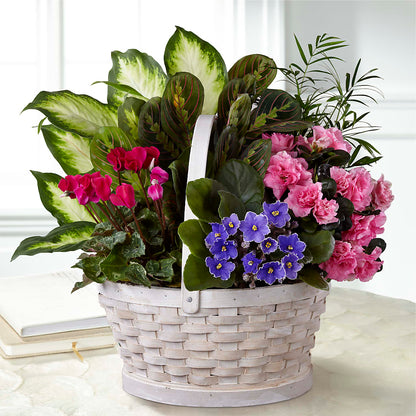 Peaceful Garden Planter – GERLACHS GARDEN & FLORAL, Erie PA