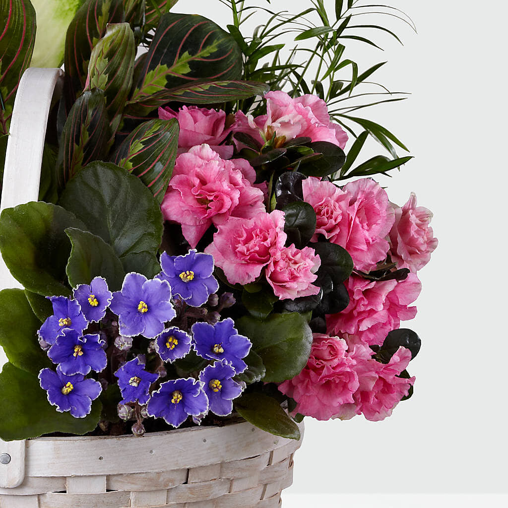 Peaceful Garden Planter – GERLACHS GARDEN & FLORAL, Erie PA