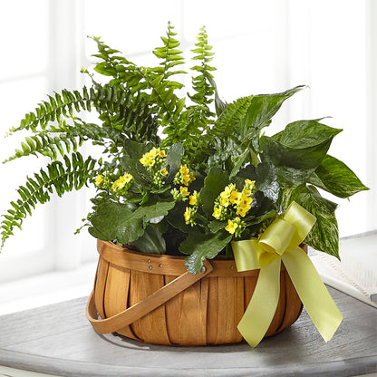 Always Dear Dishgarden – GERLACHS GARDEN & FLORAL, Erie PA