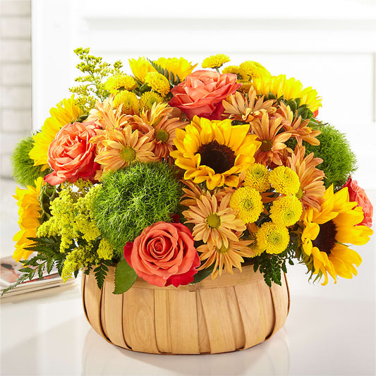 Harvest Sunflower Basket – GERLACHS GARDEN & FLORAL, Erie PA