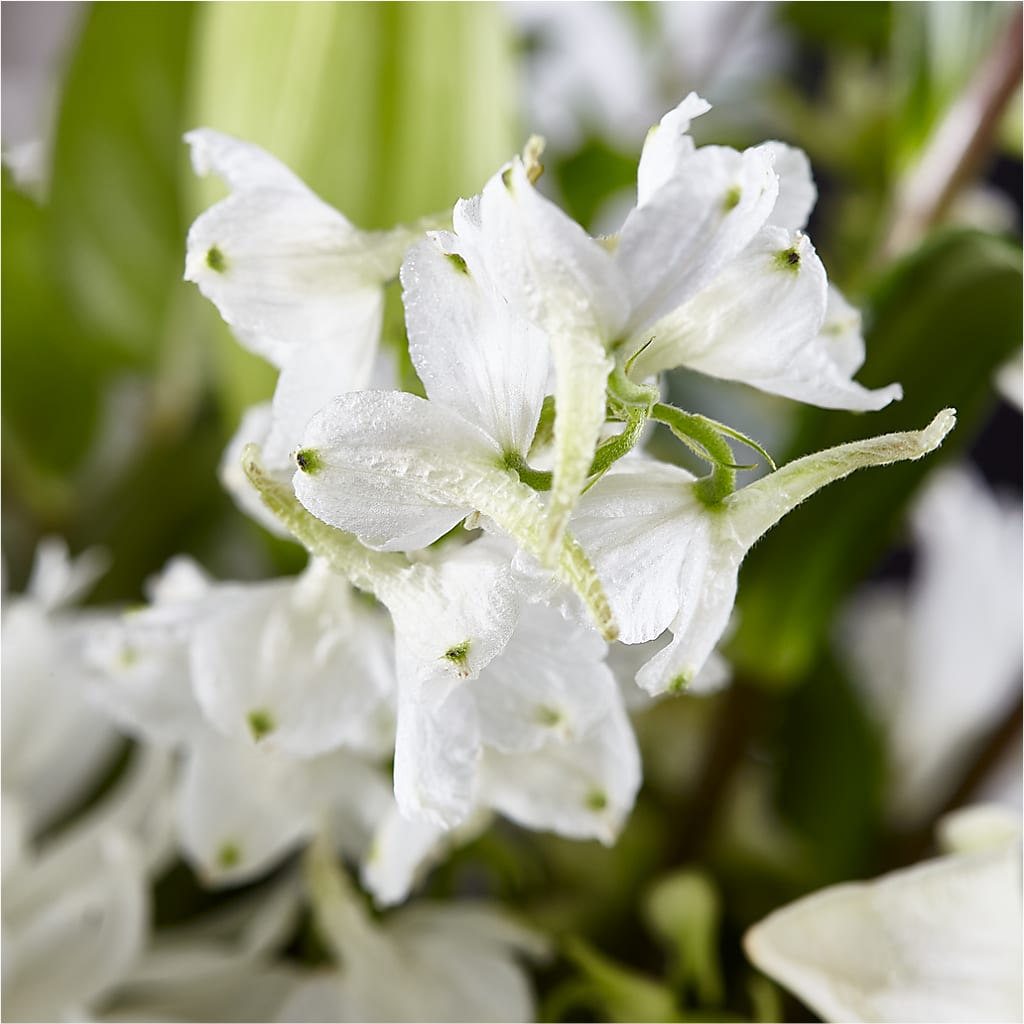 Classic Ivory – A Florist Original – GERLACHS GARDEN & FLORAL, Erie PA