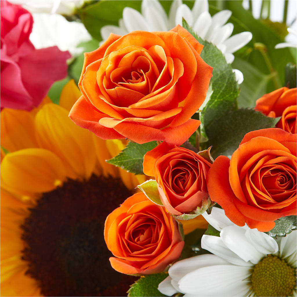 Sun-drenched Blooms Bouquet – GERLACHS GARDEN & FLORAL, Erie PA