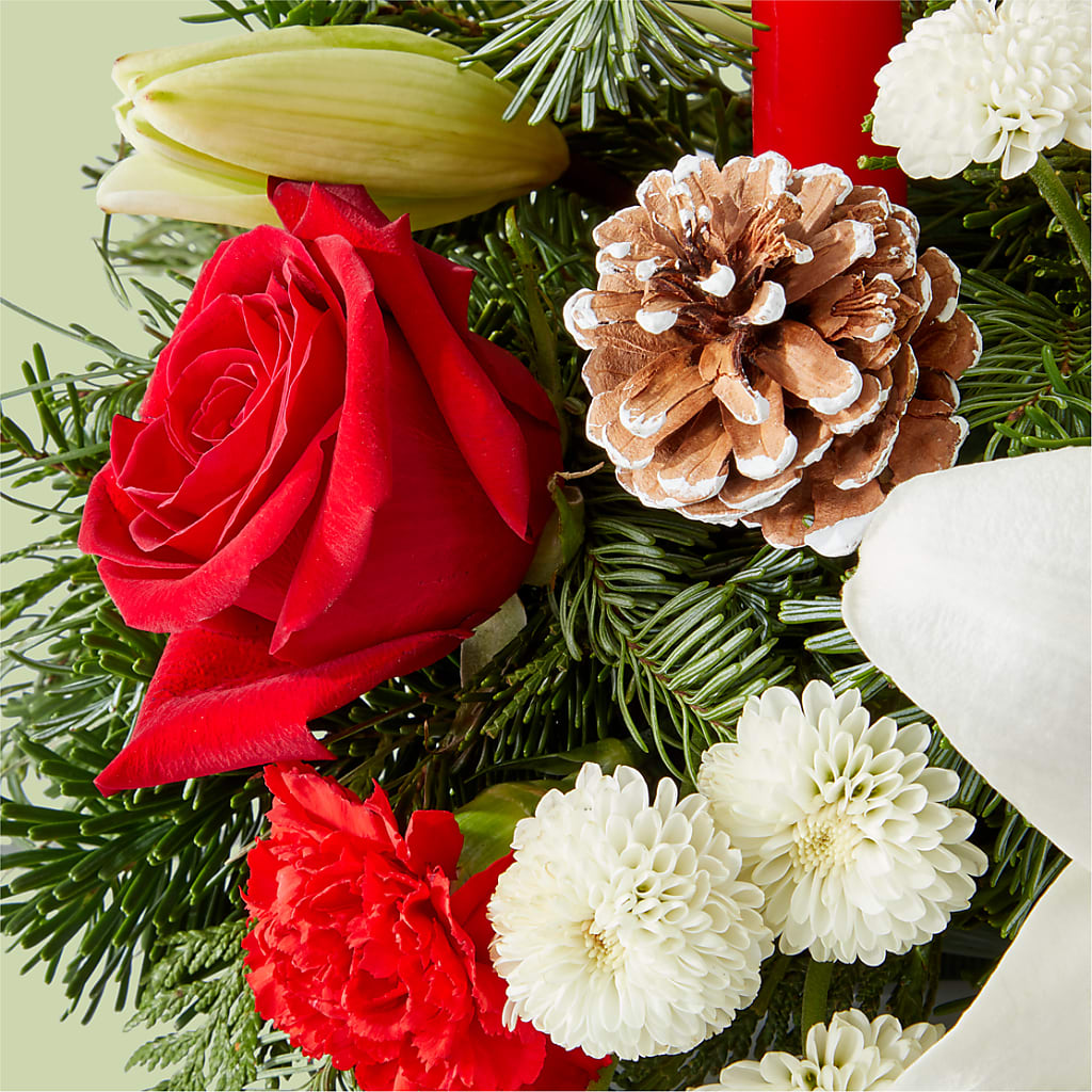Seasonal Festivities Centerpiece – GERLACHS GARDEN & FLORAL, Erie PA