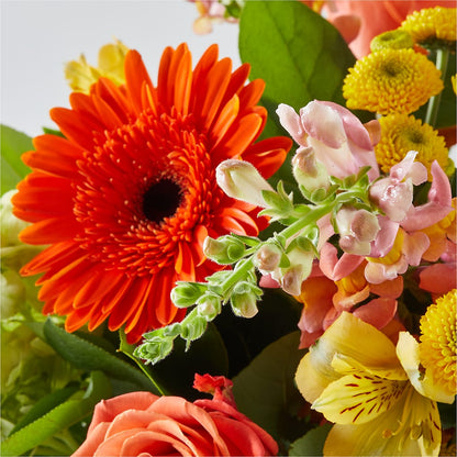 Autumn Sunshine Bouquet – GERLACHS GARDEN & FLORAL, Erie PA