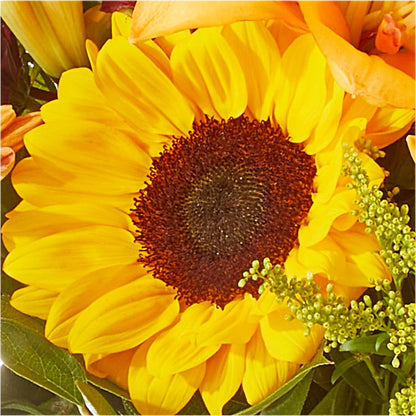 Seasons Change Bouquet – GERLACHS GARDEN & FLORAL, Erie PA