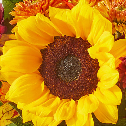 Sunny Side Bouquet – GERLACHS GARDEN & FLORAL, Erie PA