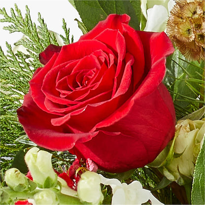 Deck the Halls Bouquet – GERLACHS GARDEN & FLORAL, Erie PA