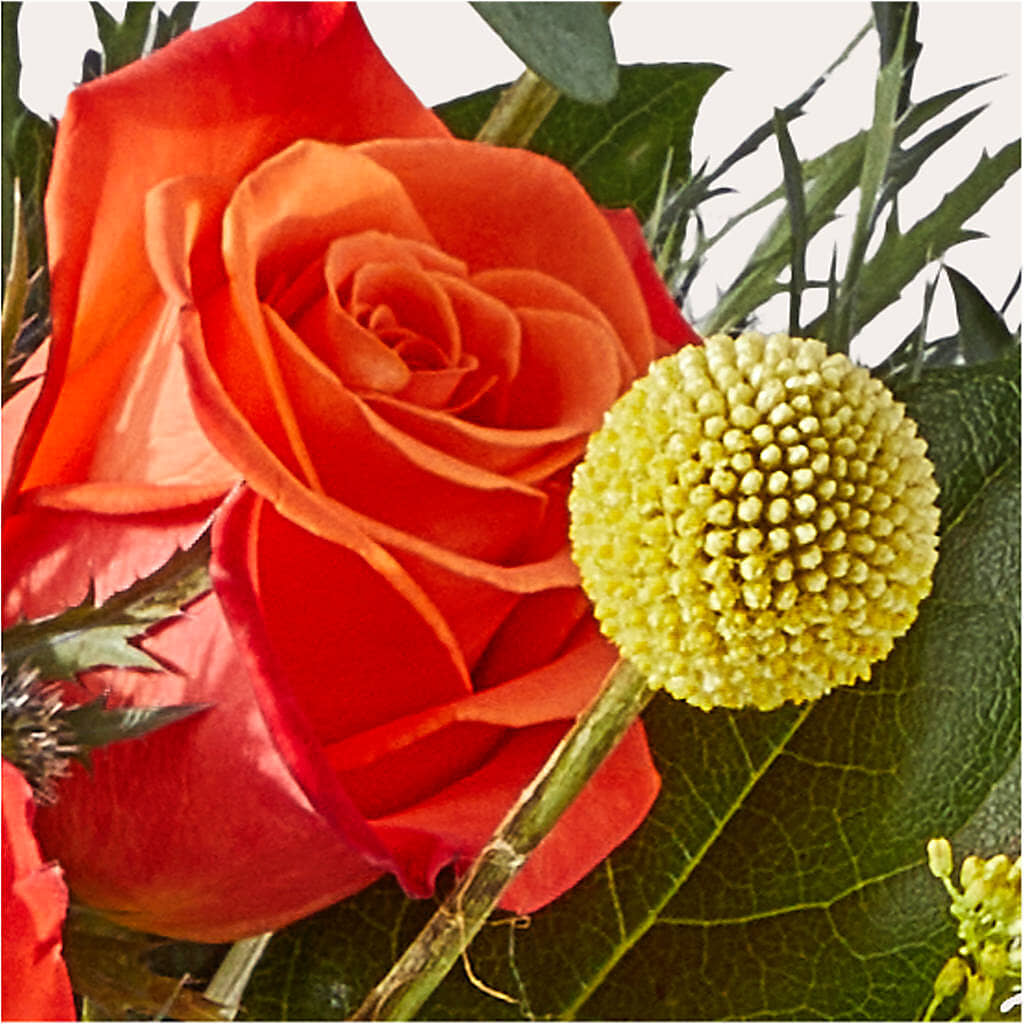 Disco Bouquet – GERLACHS GARDEN & FLORAL, Erie PA