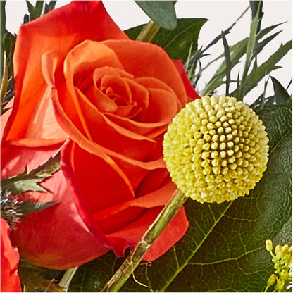 Disco Bouquet – GERLACHS GARDEN & FLORAL, Erie PA