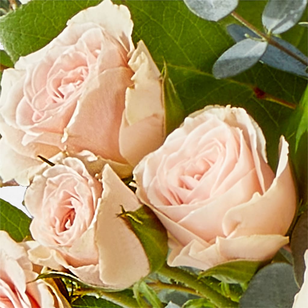 Inspired Bouquet – GERLACHS GARDEN & FLORAL, Erie PA