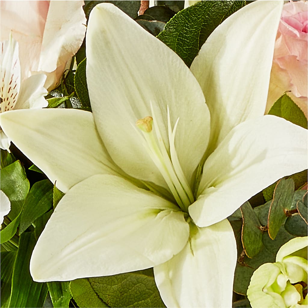 Ballet Slippers Bouquet – GERLACHS GARDEN & FLORAL, Erie PA