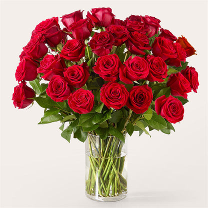The One Red Rose Bouquet – GERLACHS GARDEN & FLORAL, Erie PA