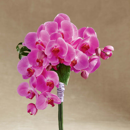 Glorious Bouquet – GERLACHS GARDEN & FLORAL, Erie PA